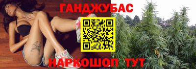 СК Тара