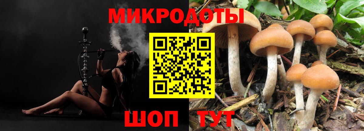 Галлюциногенные грибы мицелий Скопин